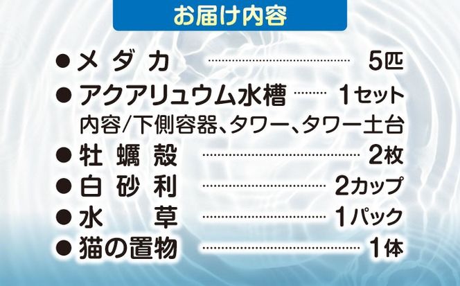 メダカスターターキット アクアリュウムタワー ブラック 【株式会社プロスパージャパン】 スターターキット 水槽 セット[AEAK005]