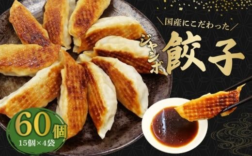 餃子 60個 ジャンボ 国産野菜 国産豚肉 冷凍 餃子 大きめ ぎょうざ ギョウザ ギョーザ おつまみ 冷凍食品 食品 惣菜 中華 惣菜 業務用 おかず ビール 藤枝