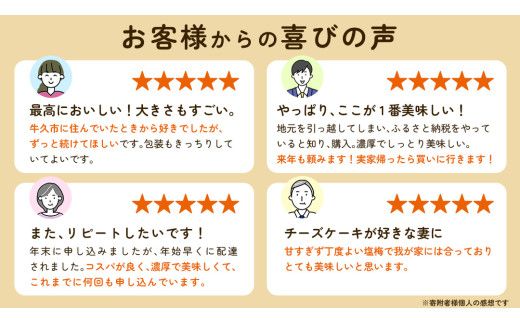 濃厚 ！ ベイクドチーズケーキ （ 冷凍 ） ホールケーキ チーズケーキ 冷凍ケーキ クリームチーズ 濃厚 甘い おいしい 美味しい スイーツ おうちカフェ お菓子 おやつ お取り寄せ お土産 贈り物 お祝い 誕生日 プレゼント ギフト パーティー 国産 茨城 [AF002us]