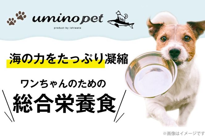 ドッグフード UMINO PET 総合栄養食 800g 6袋 [石渡商店 宮城県 気仙沼市 20566216] 犬 ドックフード ヒューマングレード 成犬用 サメ肉 犬用 成犬 サメ ペット ペットフード