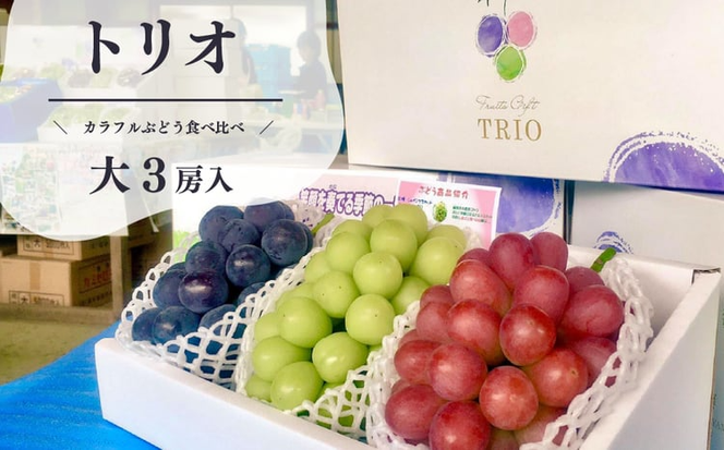 【2026年先行予約】量より質！桃と葡萄と梨の上級品が届く岡山果物便！３回便(定期便) (岡山県産) 【KF-T024-04】