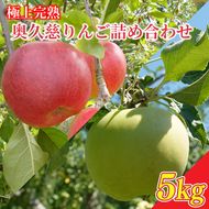 【先行予約】樹上完熟の奥久慈りんご詰め合わせ　園主おまかせ約5kg（12～23玉）【2026年9月下旬頃順次発送開始予定】斉藤りんご園第2直売所｜茨城県 大子町 林檎 果物 フルーツ 旬（CG002-1）