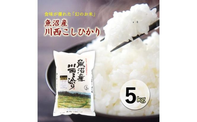 令和８年産米　先行予約　魚沼産川西こしひかり5kg＜令和8年10月下旬～発送予定＞