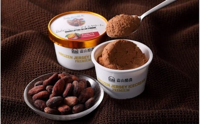 蒜山ジャージープレミアムアイスクリーム 12個セット / 岡山 真庭 極上スイーツ プレゼント ギフト ジャージー 牛乳 バニラ ミルク チョコ コーヒー 抹茶 アイス 贈答 食べ比べ 【hiru011-02】