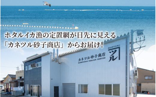 ほたるいか沖漬け すがたづくり(たまり味)2本セット【 醤油漬け ホタルイカ 朝どれ 沖漬 沖漬け 塩辛 朝獲れ おつまみ 珍味 観光 ギフト カネツル砂子商店 ザ共通テン ザ・共通テン】