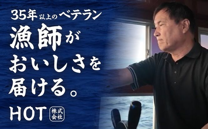 G2192 ちりめん山椒しらす 600g×全6回【定期便 小分け シラス しらす sirasu 海鮮 人気 おすすめ 産地直送】