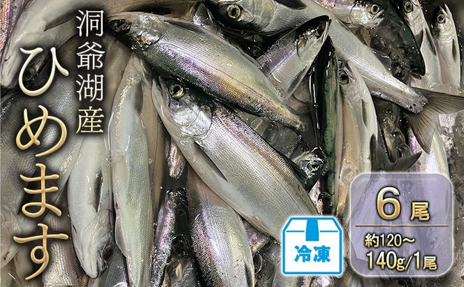 洞爺湖産ひめます6尾(約120～140g/1尾)冷凍 