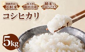 令和7年度産 栃木県鹿沼市産 コシヒカリ 小粒米(精米) 5kg | 小粒米 白米 中米