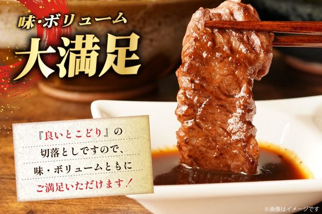 牛肉 宮崎和牛 切り落とし 焼肉 300g [道の駅「日向」物産館 宮崎県 日向市 452061758] 切落し 黒毛和牛 宮崎県産 厚め カット 焼き肉 国産 ふるさと納税 冷凍 肉 牛 きりおとし