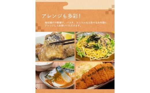 骨なし 無添加 塩さば 切身 60g × 20枚 (4枚入り5セット) / さば 塩さば 冷凍 おかず 魚 お魚 魚介 海鮮 安心 人気 大容量 小分け ごはんのお供 ふっくら やわらか 美味しい 焼き魚【nss501B】