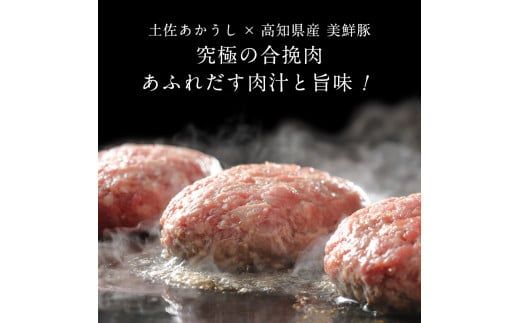 創業50年老舗レストランの幻の和牛あかうしハンバーグ120g×1コ（ソース無し）人気惣菜 数量限定 牛肉 豚肉 故郷納税 焼くだけ 溢れる肉汁 土佐あか牛 ハンバーグ 小分け 緊急支援品
