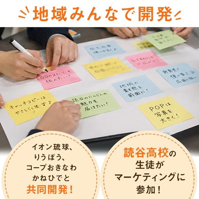泡盛香るベジカレー読谷村人参ver. 5袋 沖縄 人参 にんじん ベジタリアン カレー レトルト 泡盛 読谷村 うるま