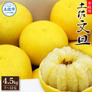 【先行予約】生産者直送 土佐文旦 約4.5kg [サイズおまかせ 2L～4L] 家庭用＜2027年1月下旬より発送＞  家庭用 文旦 柑橘 みかん フルーツ 果物 産地直送 お取り寄せ【土佐文旦産直協同組合】