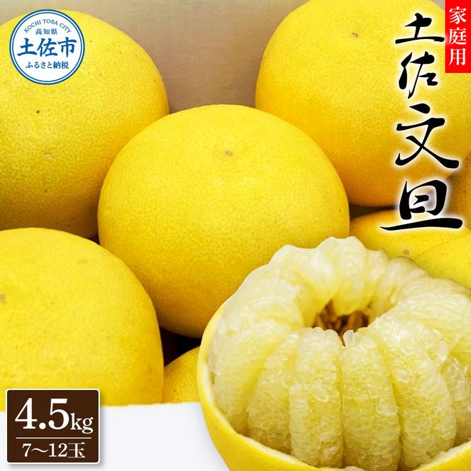 【先行予約】生産者直送 土佐文旦 約4.5kg [サイズおまかせ 2L～4L] 家庭用＜2027年1月下旬より発送＞  家庭用 文旦 柑橘 みかん フルーツ 果物 産地直送 お取り寄せ【土佐文旦産直協同組合】