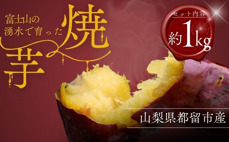 富士山の湧水で育った焼きいも やきいも いも お芋 サツマイモ さつまいも 紅はるか