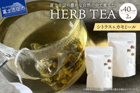 メール便発送 ハーブティーセット(シトラス＆カモミール) ティーバッグ40個  ハーブティー ティーバッグ 柑橘系ハーブ カモミール ハーブ ノンカフェイン SDGs 山梨 富士吉田