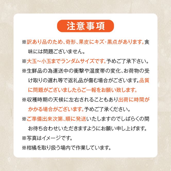 MK1035_訳あり それでも みかん 箱込 5kg ( 内容量 4.4kg ) サイズミックス Ｂ品 有田みかん 和歌山県産 産地直送 家庭用【みかんの会】