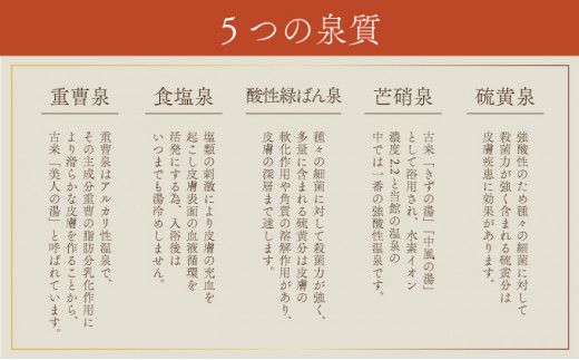 【35の湯船・1500坪の大浴場】第一滝本館 ペア日帰り入浴券 (2枚) 登別温泉 北海道 日帰り温泉 入浴券 利用券 チケット 温泉宿 老舗旅館 露天風呂 サウナ 地獄谷 2名