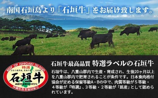 SI-17 石垣牛・赤身系切り落とし　どっさり山盛り1kg入り