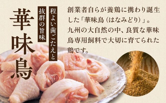 【累計100万食突破！】博多華味鳥 水炊き セット 3～4人前 水たき 糸島 / トリゼンフーズ[AIB001] 華味鳥 水炊き はなみどり ランキング 上位 人気 鍋 鍋セット