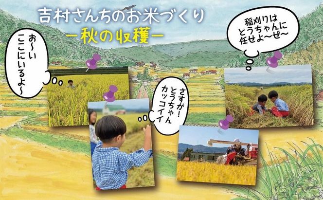 ｜従来品種｜ 魚沼産 コシヒカリ 2kg ×2袋 計4kg 米 こしひかり お米 コメ 新潟 魚沼 魚沼産 白米 送料無料 新潟県産 精米 産直 農家直送 お取り寄せ 吉村さんちのお米 新潟県 十日町市 モチモチ 