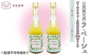 桃 の お酒 ラ・ペーシュ 清水 白桃 500ml×2本 セット 岡山 赤磐市産 果物 フルーツ ピーチ リキュール 洋酒 フルーツのお酒 桃のリキュール 