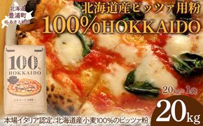 100% HOKKAIDO ピッツァ用粉 20kg TYUAI026