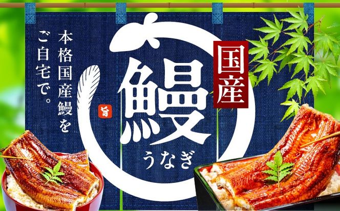 kgp0131 【特別規格】国産うなぎ蒲焼 640g以上（大サイズ4尾）【レンチン 湯煎対応 簡単調理 鰻 ウナギ 人気総菜 日本産 土用の丑の日にも】