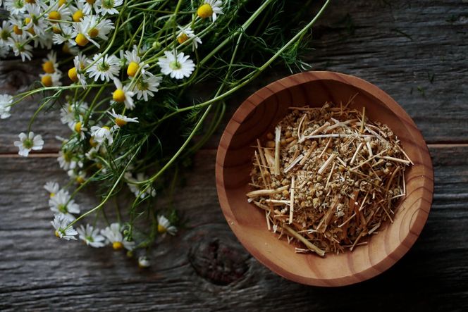 華密恋 ボディミルク 150mL [カミツレ研究所 長野県 池田町 48110799] カミツレン カミツレ いい香り