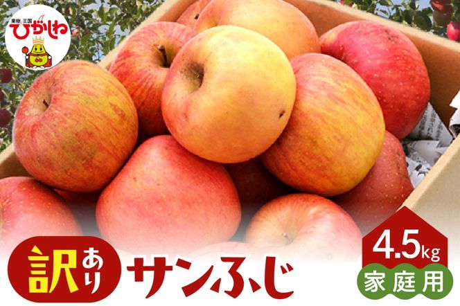 【2026年産】※訳あり※ サンふじ満杯詰(約4.5kg) 山形県 東根市 東根農産センター提供 hi027-203-r8