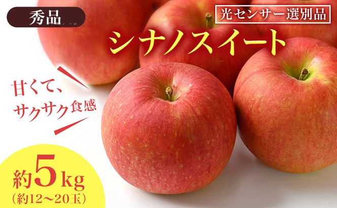 【2026年先行予約】シナノスイート 秀品 約5kg 長野県産 果物類 林檎 りんご リンゴ フルーツ 