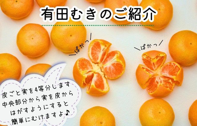 【母の日ギフト】ハウスみかん 温室栽培 夏の有田みかん 2kg 秀品 L M Sサイズのいずれか 和歌山県産 産地直送 【みかんの会】 AX360