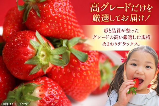 【期間限定発送】 いちご あまおう デラックス 4p [THE FARM_strawberry 福岡県 宇美町 um40azo780001] イチゴ 苺 フルーツ 果実 甘い 小分け