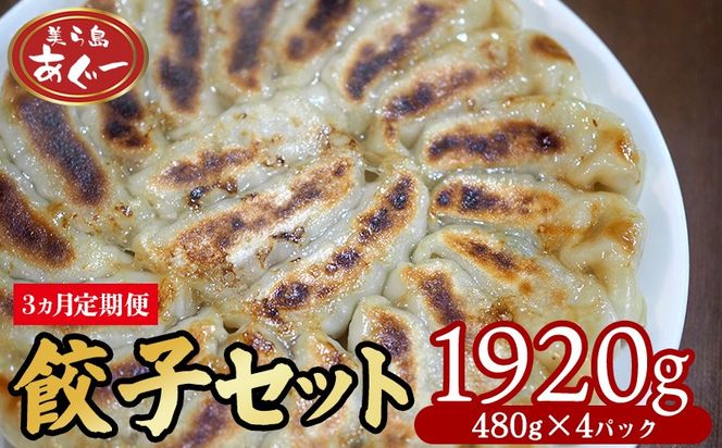 【3ヵ月定期便】　【美ら島あぐー】餃子セット1920ｇ【480g×4パック】 あぐー もっちり 沖縄 大宜味村 豚肉 小分け 国産 おつまみ こだわり ぶた アグー 加工品 おいしい 美味しい 取り寄せ 豚 肉 冷凍 まろやか 旨味