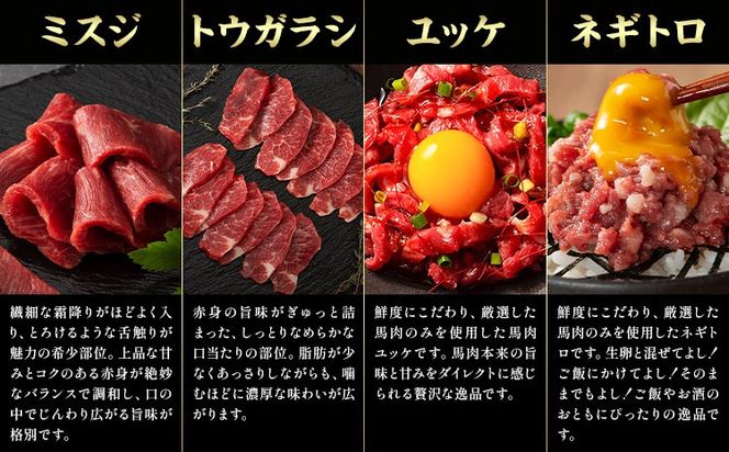 馬肉 フジチクオリジナル 希少部位 と 贅沢な ふじ馬刺し 厳選 セット 道の駅竜北《30日以内に出荷予定(土日祝除く)》 熊本県 氷川町 肉 馬肉 メン 大トロ 中トロ ヒレ シャトーブリアン ロース ランプ 上赤身 ふじ馬刺し セット 食べ比べ---sh_fyekfokb_r7_30d_133000_1160g---