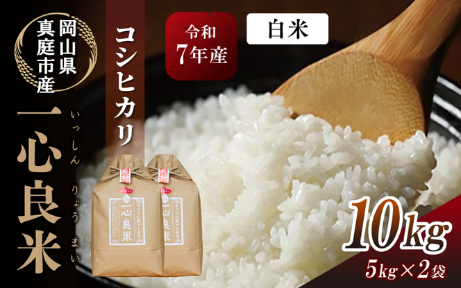 【令和7年産】 真庭市産コシヒカリ 米ぬか 牡蠣栽培米 『 一心良米 』白米 10kg (5kg×2袋） / お米 いっしんりょうまい 岡山県 こしひかり 人気 ブランド 2025年産 【tkns010-01-cho】