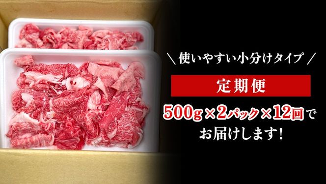 【定期便】 全12回 【 常陸牛 】 切り落とし 1kg (茨城県共通返礼品) 国産 切落し 焼肉 焼き肉 お肉 A4ランク A5ランク ブランド牛 小分け [BX89-NT]