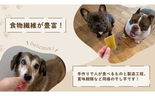 【 先行予約 】【 塚田商店 】 犬用 干し芋 訳あり 100g × 8袋 無選別 ドックフード ペットフード 犬 国産 無添加 さつまいも 芋 おやつ 和菓子 いも イモ 工場直送 マツコの知らない世界 スーパーツカダ [BD034ci]
