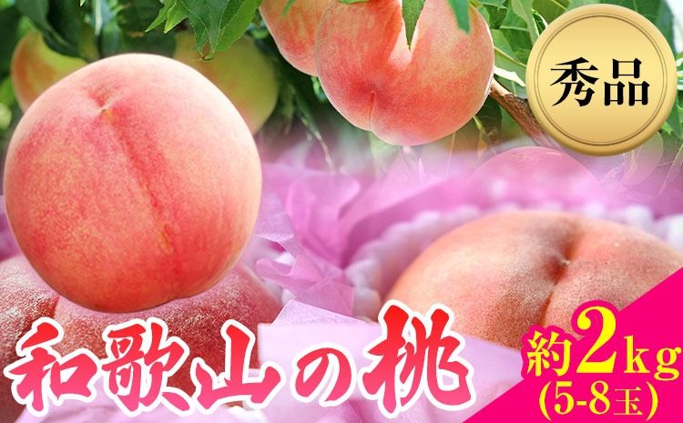 [先行予約]和歌山県産 桃[秀品]約2kg (5玉〜8玉)] 前商店[6月中旬-8月上旬頃出荷]和歌山県 紀の川市 もも モモ 果物 フルーツ---wsk_cmes3_6c8j_24_15000_2kg---