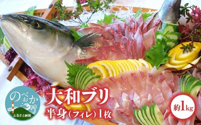 �y�{�茧�����s�z�y��a�u���z���g�i�t�B���j��1.0kg×1���@�X�L�����X���C���d�l�@N072-YB327_1