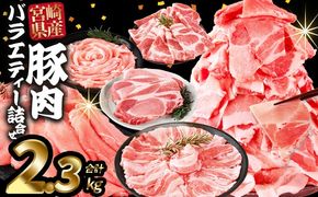 ＜宮崎県産豚肉バラエティー詰合せセット 2.3kg＞入金確認後、2026年1月に順次出荷 【国産 宮崎県産 ぶた にく 精肉 とんかつ トンカツ 焼肉 焼き肉 スライス 小間切れ 豚こま 詰め合わせ 6種類 肩ロース ウデ ミヤチク 宮崎県 国富町】【b1031_my_jan】
