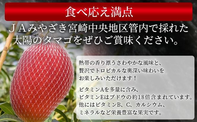 ＜宮崎県産 太陽のタマゴ A等級 A5Lサイズ×1玉（約700g）＞2025年4月下旬～2025年6月下旬迄に順次出荷【 太陽のタマゴ 完熟マンゴー 完熟 マンゴー フルーツ トロピカルフルーツ 果物 くだもの おいしい 美味しい 甘い あまい 】【b0912_ja】