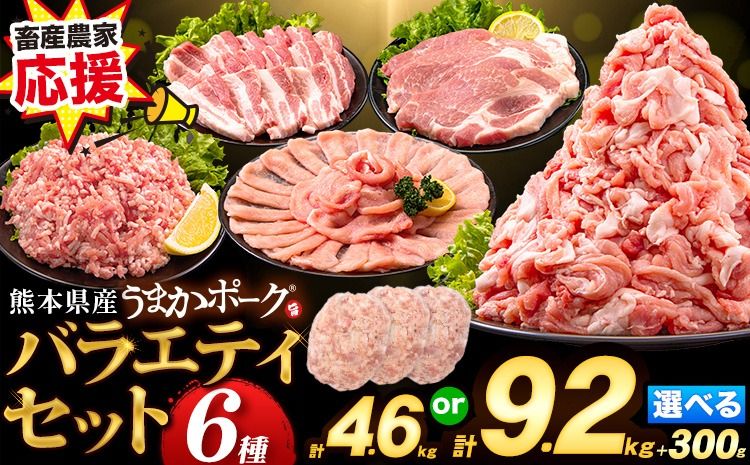 数量限定★生産者応援★ 豚肉 小分け バラエティ セット うまか ポーク しゃぶしゃぶ 切り落とし 豚ロース バラ 豚バラ 豚バラ肉 スライス 選べる 4.6kg 9.2kg 4kg 以上 真空 お楽しみセット 不揃い 数量限定 簡易包装 冷凍配送 [30日以内に出荷予定(土日祝除く)]---fn_fozpfs_23_30d_15000_4600g---