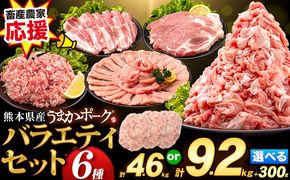 数量限定★生産者応援★ 豚肉 小分け バラエティ セット うまか ポーク しゃぶしゃぶ 切り落とし 豚ロース バラ 豚バラ 豚バラ肉 スライス 選べる 4.6kg 9.2kg 4kg 以上 真空 お楽しみセット 不揃い 数量限定 簡易包装 冷凍配送 《30日以内に出荷予定(土日祝除く)》---fn_fozpfs_23_30d_15000_4600g---