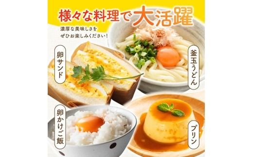 ※回数が選べる※宮崎県産鶏卵　「南国からの贈り物」大きな卵40個入り（35個+破損補償5個） 【たまご 卵 玉子 タマゴ】 [C01401]