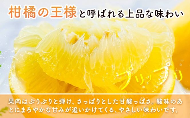 晩白柚 選べる 1玉 2玉 Lサイズ 2Lサイズ ばんぺいゆ 熊本《1月上旬-1月末頃出荷》熊本県 氷川町 果物 フルーツ 熊本県産 晩白柚 ばんぺいゆ---hkw_kbtbpy_ac1_26_5500_l1i---
