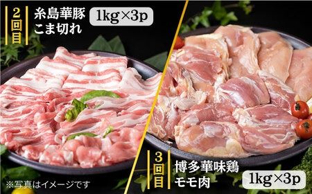 【全7回定期便】ボリューム満点！ お肉 福岡 糸島産 牛肉 / 豚肉 / 鶏肉 《糸島》 【糸島ミートデリ工房】 [ACA086] 黒毛和牛 博多華味鶏 糸島華豚 ランキング 上位 人気 おすすめ