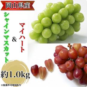 ぶどう 2026年 先行予約 農家こだわりのシャインマスカット＆ハート型のマイハート  合計約1.0kg ブドウ 葡萄 岡山県産 国産 フルーツ 果物 ギフト 【 Nini farm 農家 直送 】