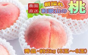 【農園直送】朝採れ和歌山の桃　約2kg・秀品【2027年度発送分】※2027年6月下旬～2027年8月上旬頃順次発送【tec910B】