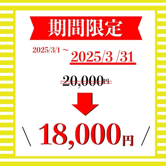 期間限定 牛肉 肩ロース すき焼き 用 520ｇ 黒毛和牛 A4 A5 ランク 肉 お肉 和牛 牛 人気 国産 安心 安全 静岡県 藤枝市[PT0210-000003]